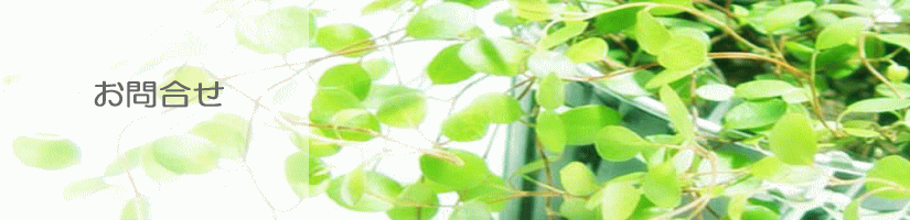 image09.gif