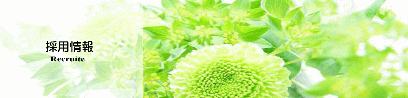 image_12.gif